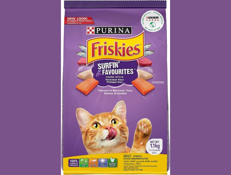 The Ultimate Guide To Best Budget Friendly Dry Cat Food