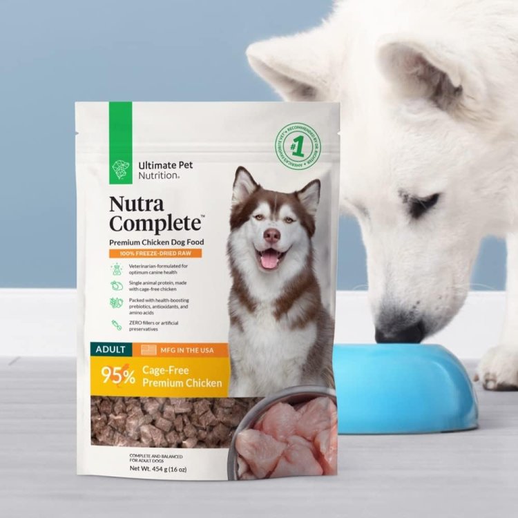 Improve Your Dog's Health With Nutra Complete Dog Food