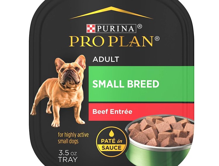 Best Idea To Choosing The Best Dog Food For Boston Terriers